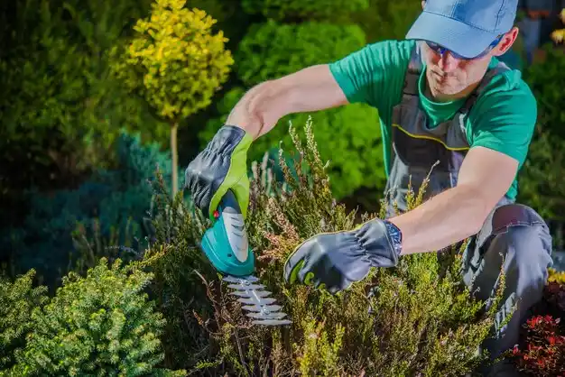landscaping services Marshfield Hills